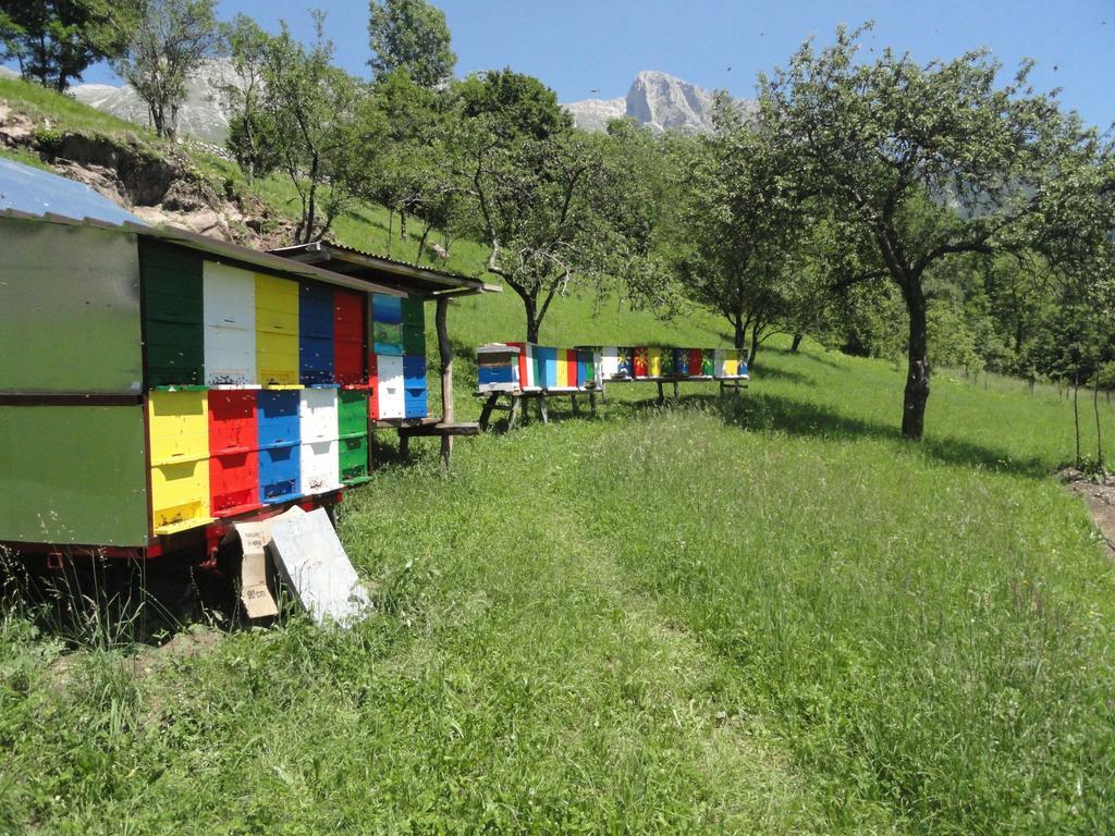 Apartma Skubin Apartman Kobarid Szoba fotó